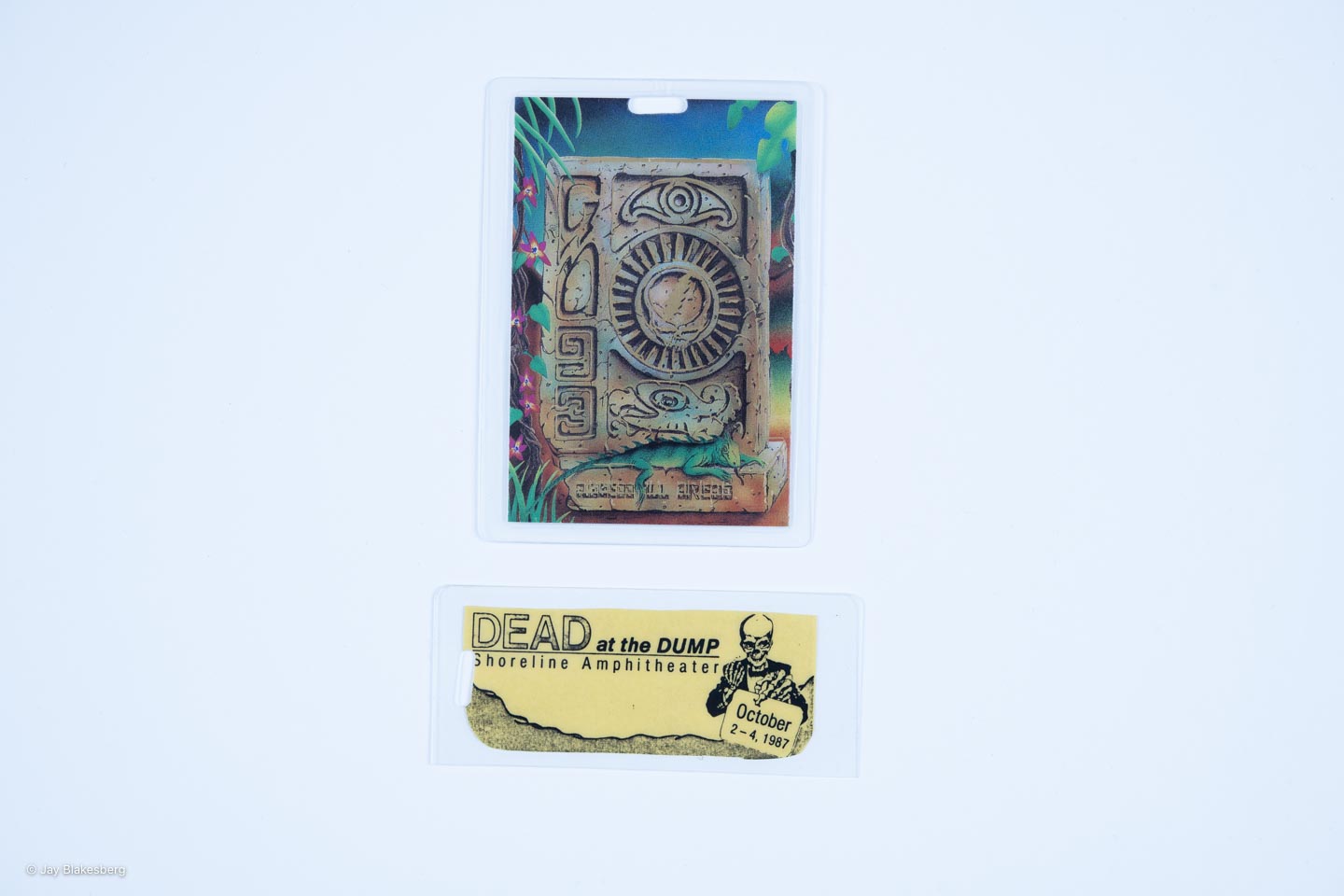 Dan Healy Backstage Laminates (1987-1993) Bundle