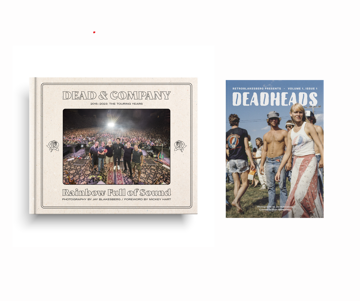 Rainbow Full of Sound/ Deadhead Zine Bundle