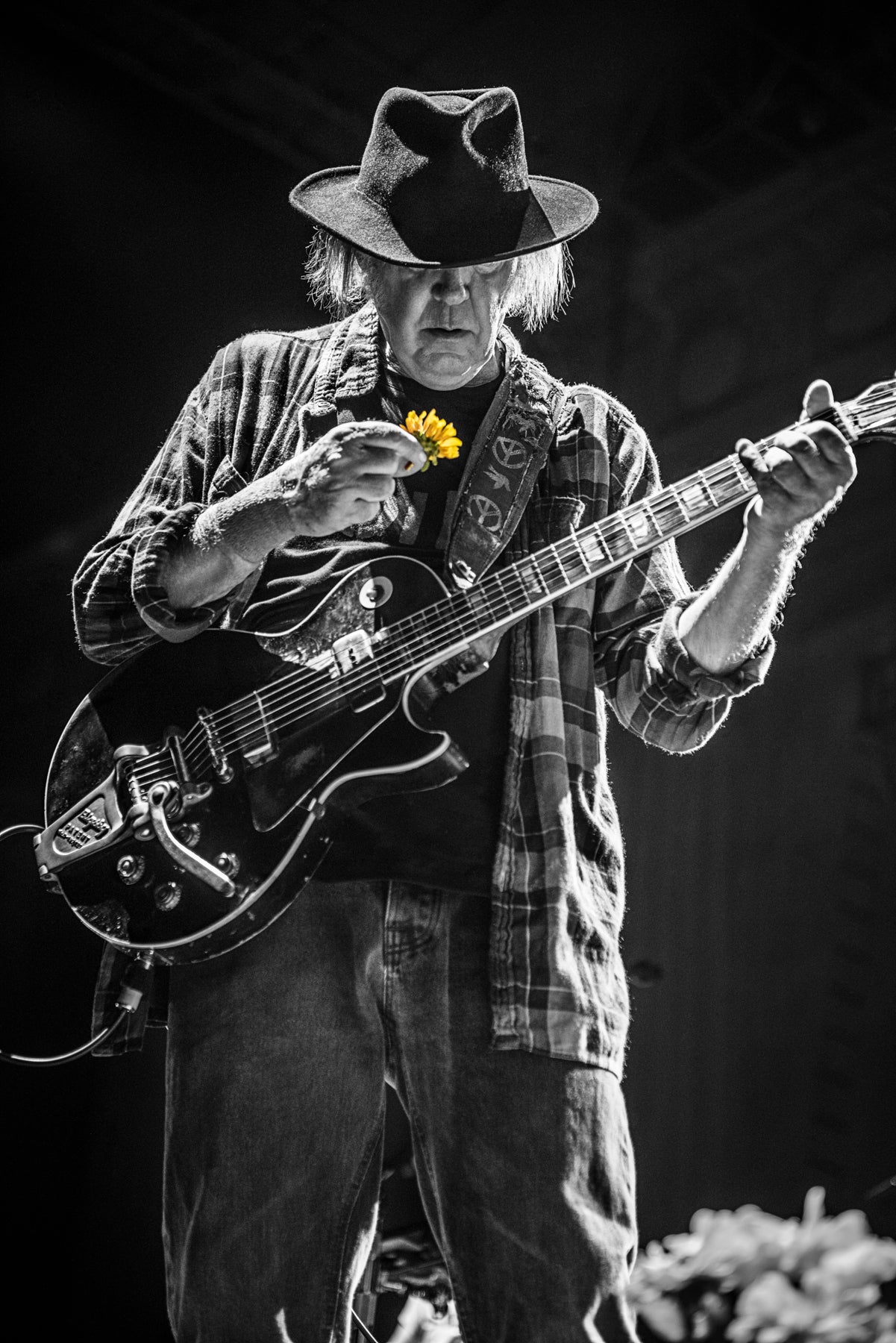 Neil Young - Noise and Flowers Album Cover Image