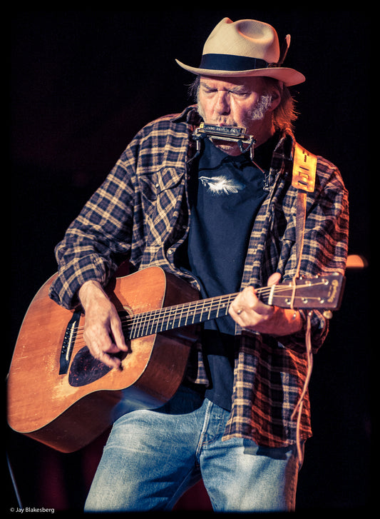 Neil Young - 2011