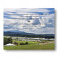 LOCKN' Festival Photo Book: Vol. 2 (2015 & 2016) - Back