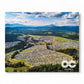 LOCKN' Festival Photo Book: Vol. 3 (2017 & 2018) - Front