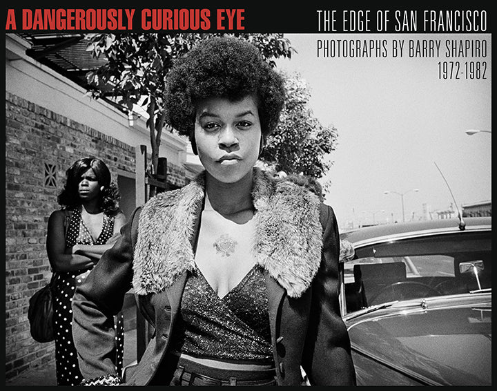 A Dangerously Curious Eye - Book Cover
