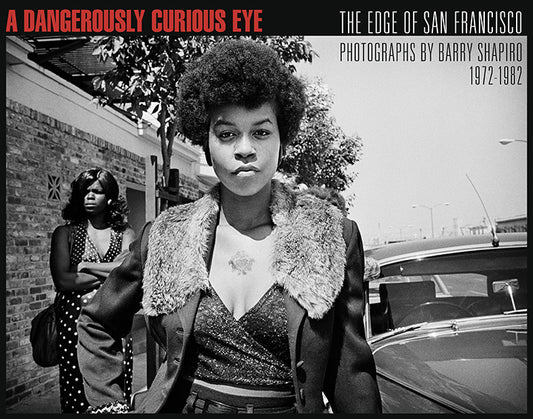 A Dangerously Curious Eye - Book Cover