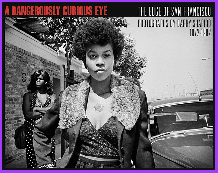 A Dangerously Curious Eye - Book Cover