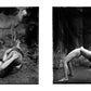 Portraits From the Belly of the Whale - Pages