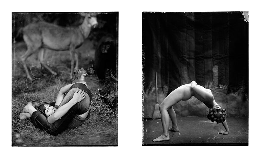 Portraits From the Belly of the Whale - Pages